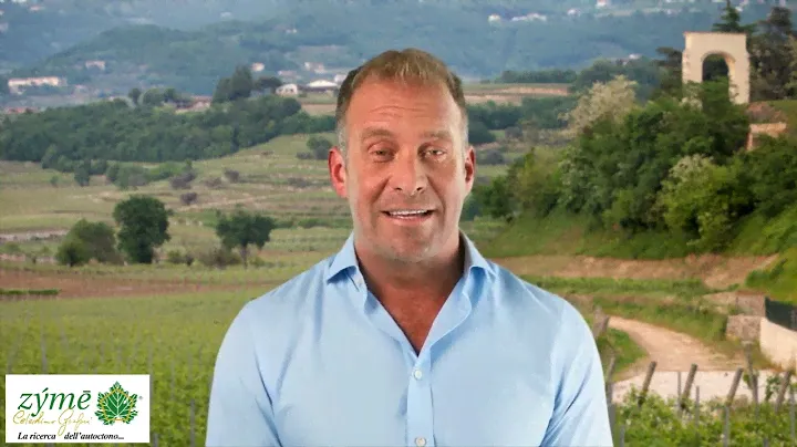 Zymè   the renaissance of Italian Wine