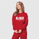 Спортивный костюм Ajax football club классика
